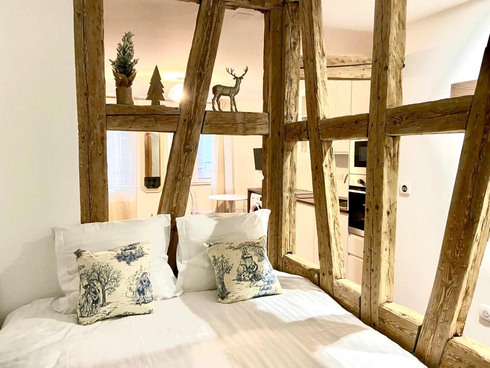 Cathedrale Appartement Strasbourg