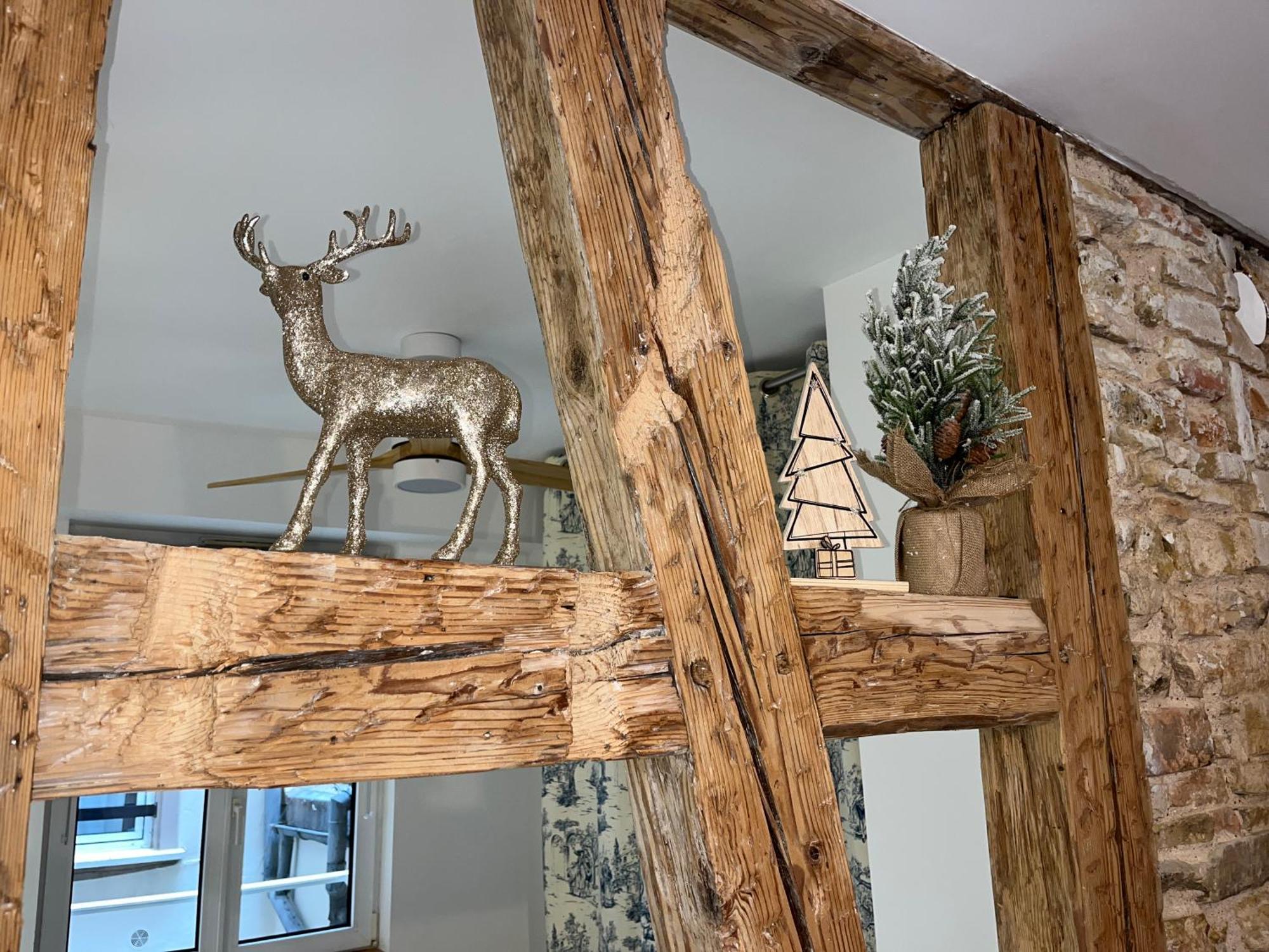 Appartement Cathedrale Strasbourg